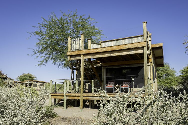 Kalahari Plains Camp - Gästeunterkunft