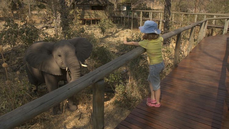 Chitabe Lediba - Kind und junger Elefant