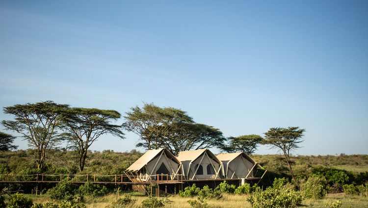 Mara Nyika Camp, Großraum Masai Mara