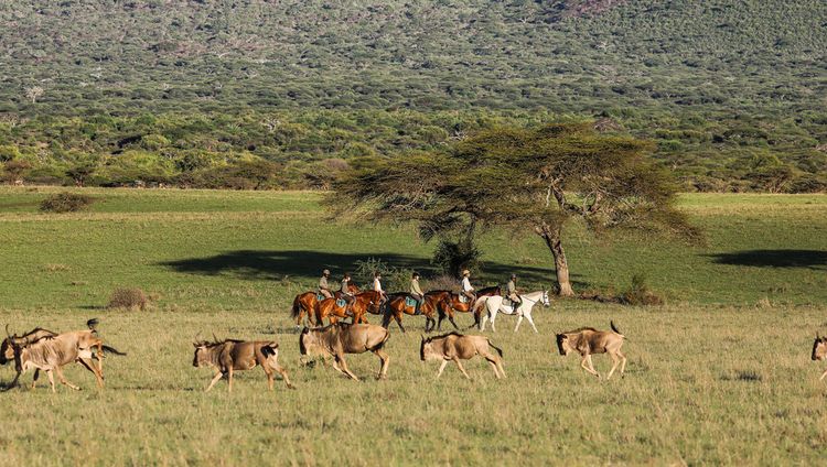 Ol Donyo Lodge - Safari zu Pferde