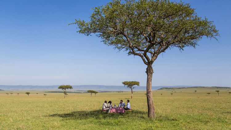 Angama Camp - Picknick in der Massai Mara