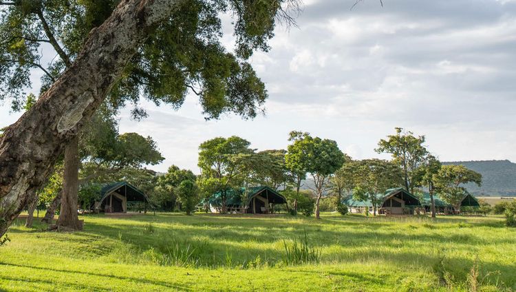 Little Governors' Camp, Masai Mara