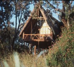 Unterk�nfte - Ngong