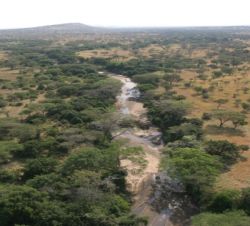 Unterk�nfte - Faru Faru River Lodge - Singita Grumeti