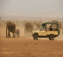 function.array-key-exists - Northern Fronier Safari