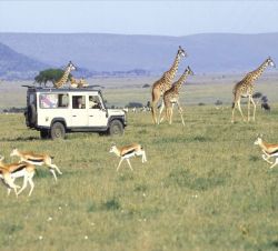 function.array-key-exists - Southern Ciruit Safari