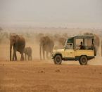 Northern Fronier Safari