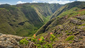 HAWAII