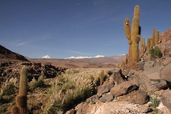 Atacama Wüste 