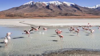 Bolivien