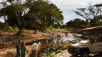 Safari Lodges