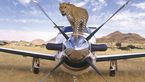 African Classics Reisen