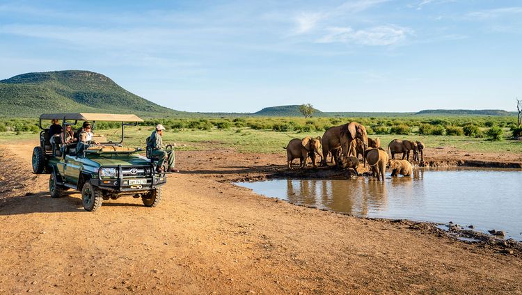 Mateya Safari Lodge - Pirschfahrt mit Elefant