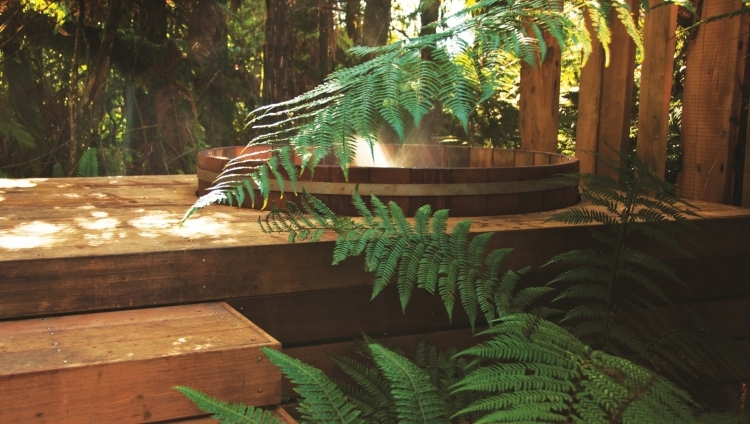 Treetops Lodge - Hot Tub