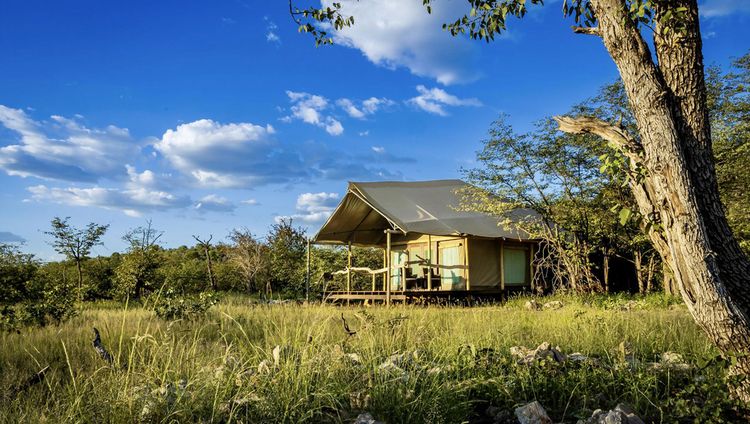 Ongava Tented Camp, Etosha Nationalpark