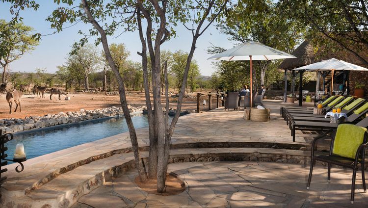 Ongava Tented Camp - Terrasse und Pool