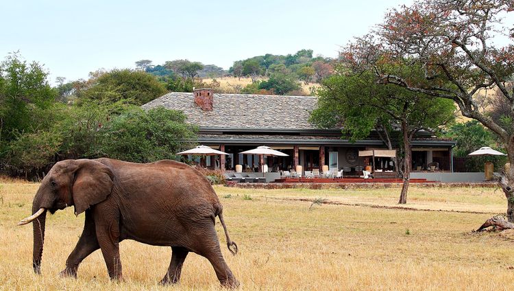 Singita Serengeti House