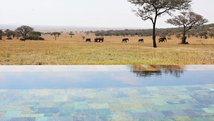 Singita Serngeti House - Pool