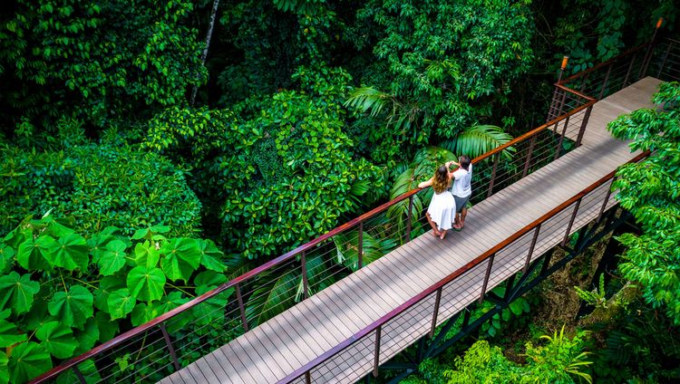 Nayara Springs - Auf einer der Brücken