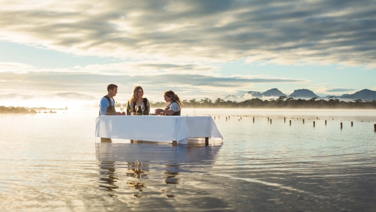 Saffire Freycinet - Marine Experience