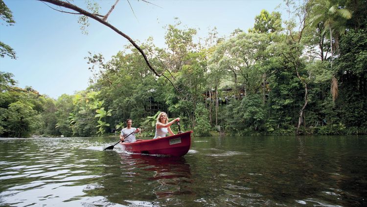 Silky Oaks Lodge - Kayaking durch den Regenwa