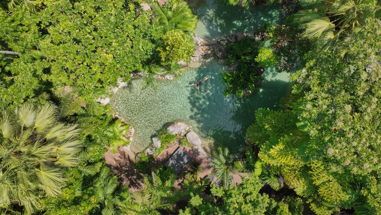 Silky Oaks Lodge - Pool im Rainforest