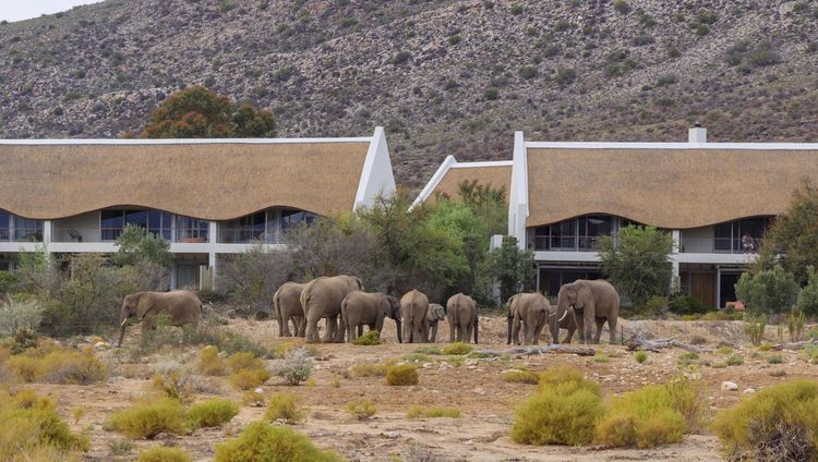 Sanbona Wildlife Reserve - Gondwana Family Lo