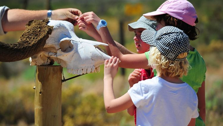 Sanbona Wildlife Reserve - Gondwana Family Lo