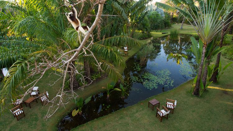 Anjajavy Le Lodge - Garten