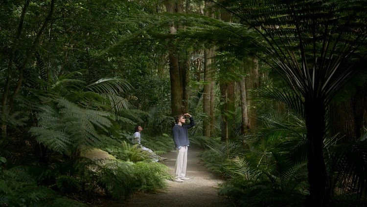 Rosewood Kauri Cliffs - Im Totara Forest