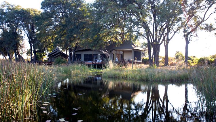 Duba Plains Camp - Gästezelt