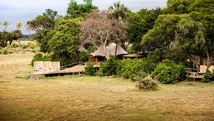 Little Mombo, Botswana