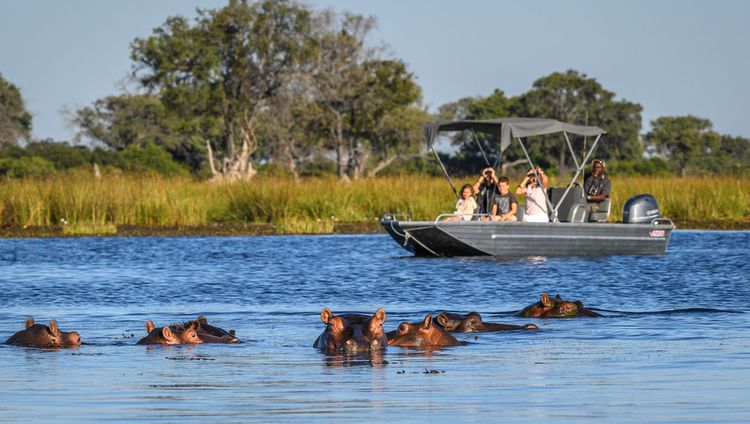 Little Vumbura - Bootstour mit Flusspferden