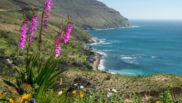 Tintswalo Atlantic Lodge