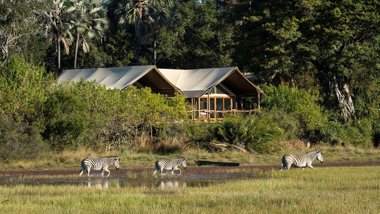 Tubu Tree Camp 