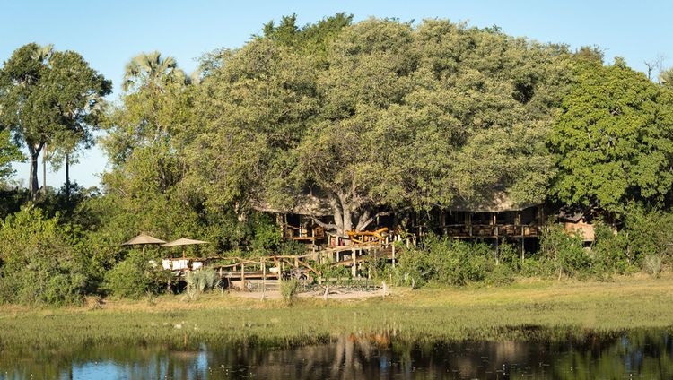 Tubu Tree Camp - Das Tubu Tree Camp