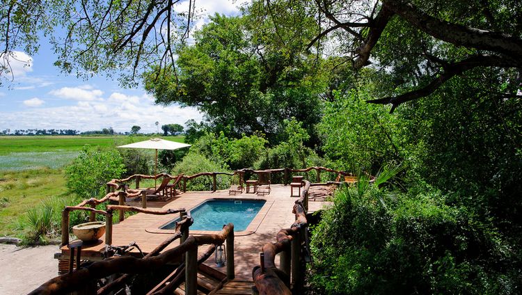 Tubu Tree Camp -  Pool mit Aussicht