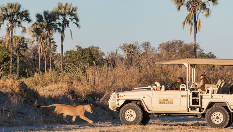 Xigera Safari Lodge - Pirschfahrt Xigera Safari Lodge - Pirschfahrt