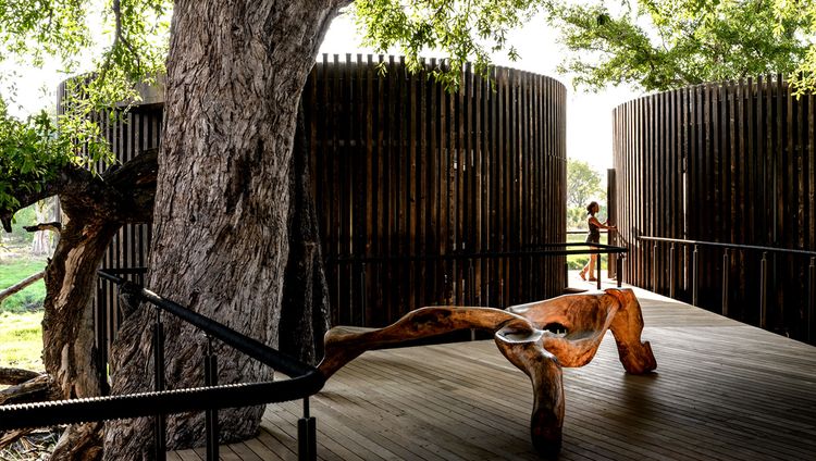 Xigera Safari Lodge - Eingang zum Spa Xigera Safari Lodge - Eingang zum Spa