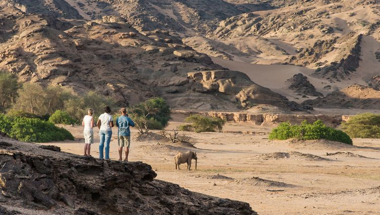 Hoanib Skeleton Coast Camp - Elefantenbeobach