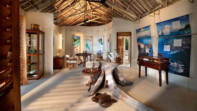 &Beyond Mnemba Island - Discovery Centre