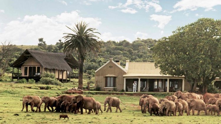 Gorah Elephant Camp, Addo