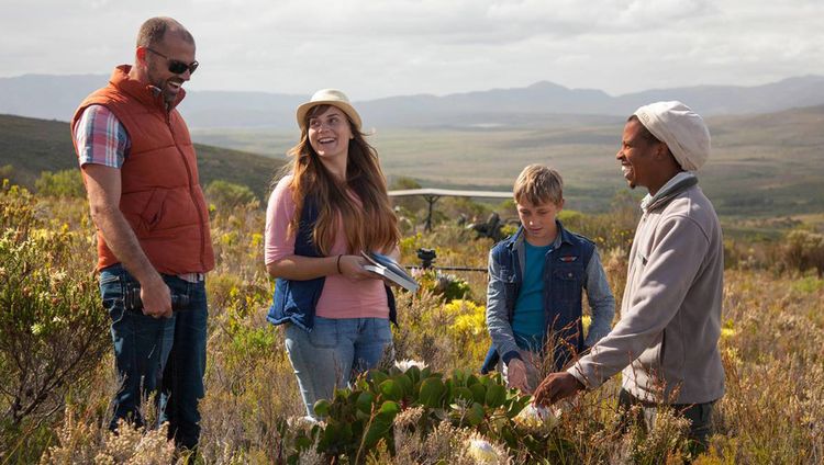 Grootbos Nature Reserve - Blumensafari 