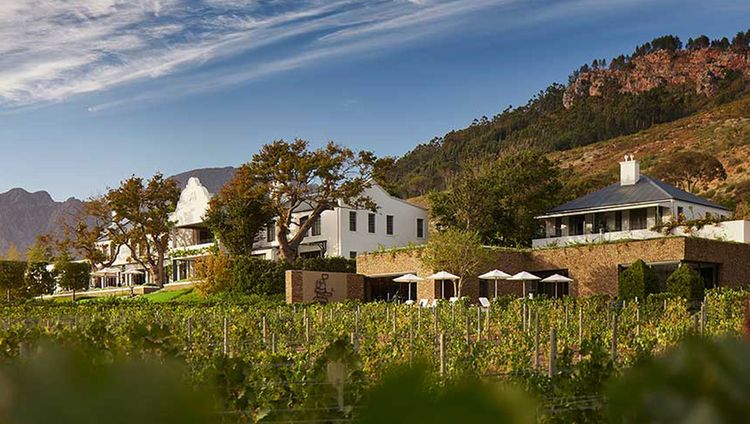 Leeu Estate, Franschhoek