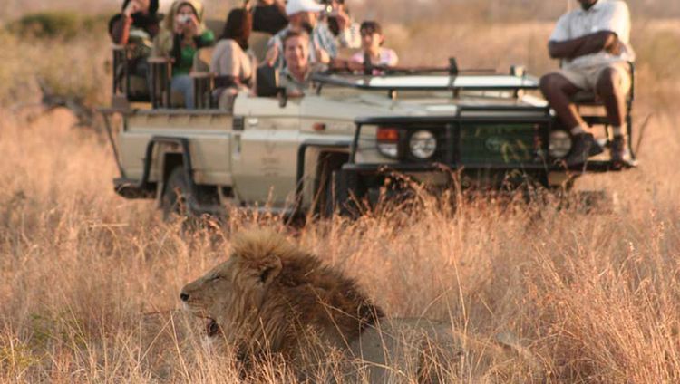 Tintswalo Safari Lodge - Auf Pirschfahrt