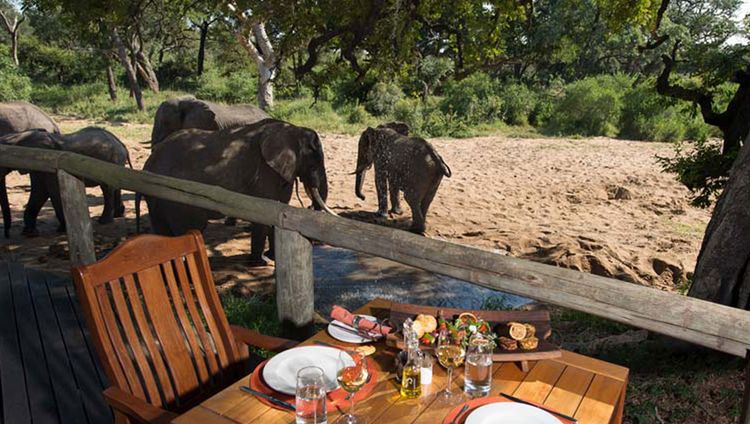Tintswalo Safari Lodge - Lunch mit Elefanten