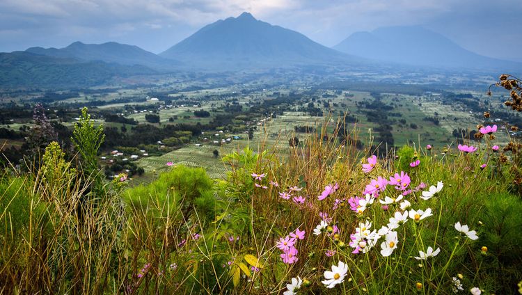 Bisate Lodge - Blick ins Tal