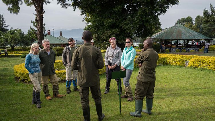 Bisate Lodge - Start zu den Gorillas