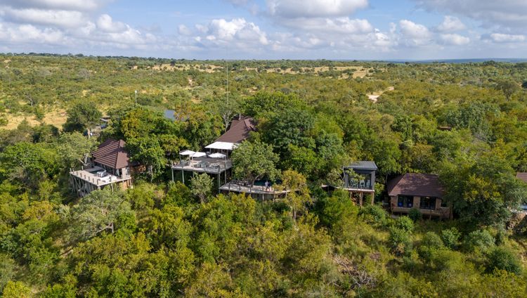 Leopard Hills. Sabi Sand
