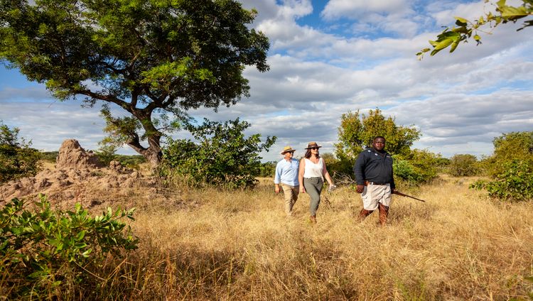 Leopard Hills - Guided Walk